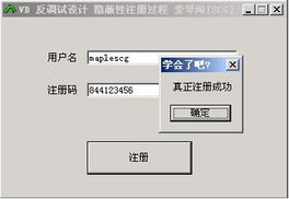 VB共享軟件防破解設計技術初探